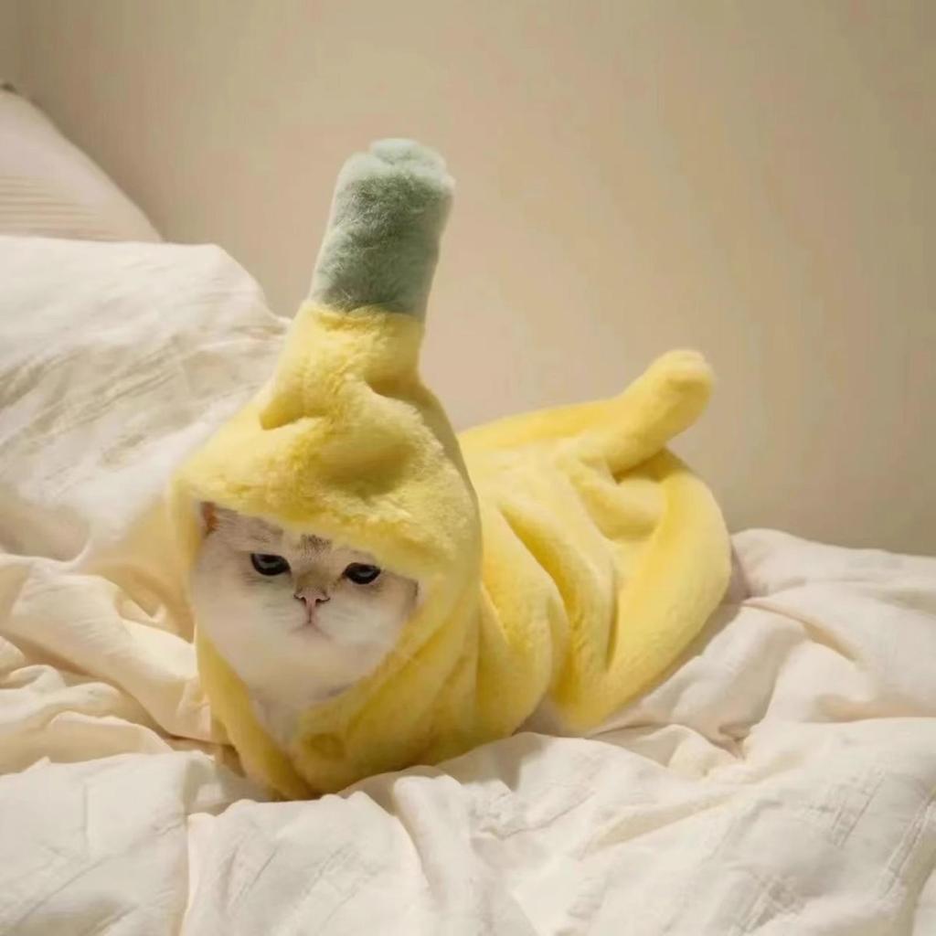 Cat Banana Costume Banana Shaped Outfit Dress Up Outfit For Small Medium Breed Pet Dogs Cat Halloween Christmas Spring Fall