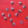 50pc Halloween Plastic Flys Joking Toys Decoration