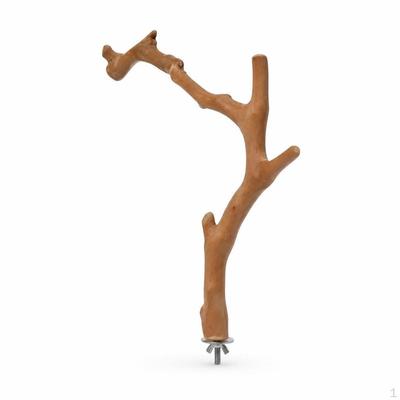 Traubenholz Vogel Sitzstange für Papageien und Vögel, Natürliches Holz Käfigzubehör Klein (2035cm) Schraube