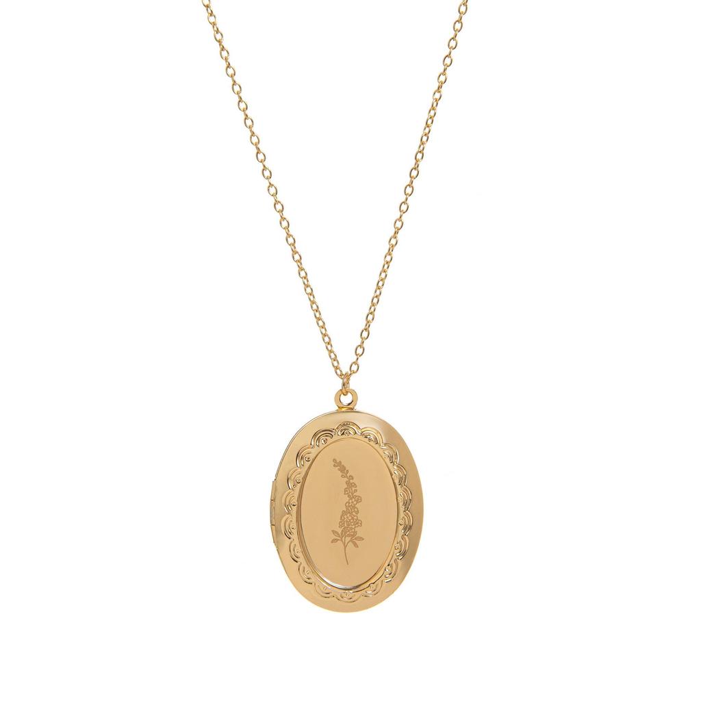 December Birth Flower Oval Necklace with Engravable Pendant and Photo Album Clavicle Chain