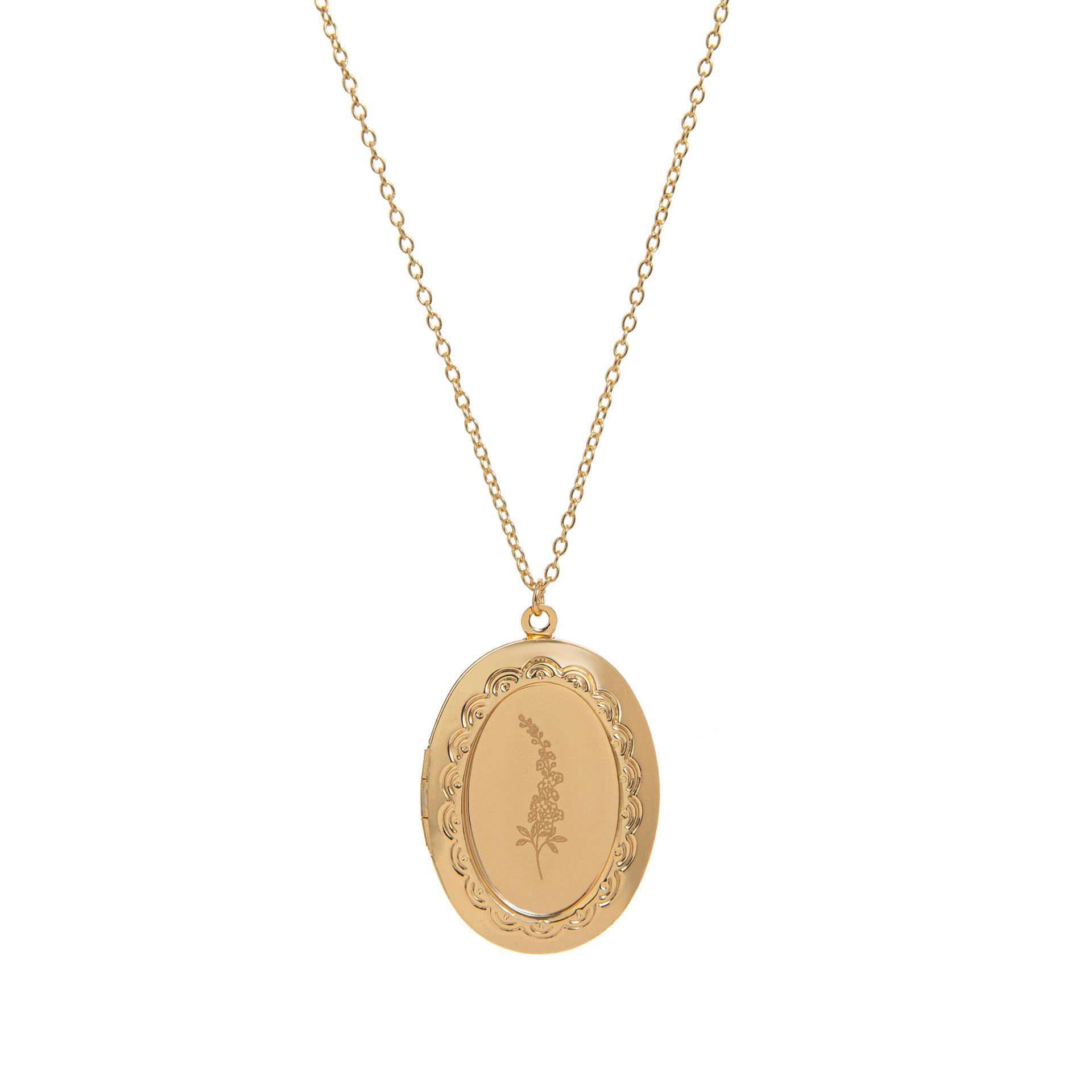 December Birth Flower Oval Necklace with Engravable Pendant and Photo Album Clavicle Chain