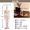 AROXIA Wooden Drawing Doll Model with Hands and Feet for Art, Drawing, and Manga (30cm)