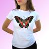 Butterfly White Kids Boys T-Shirt Insect Animal Tee Top - S S Kids Baby Sizes