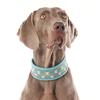 Vintage Retro Reflecterende Hondenhalsband Metalen Gesp Ademend Verstelbaar Buiten Wandelen voor Middelgrote Grote Honden