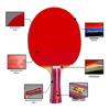 Double Fish 1-Star Beginner Table Tennis Racket