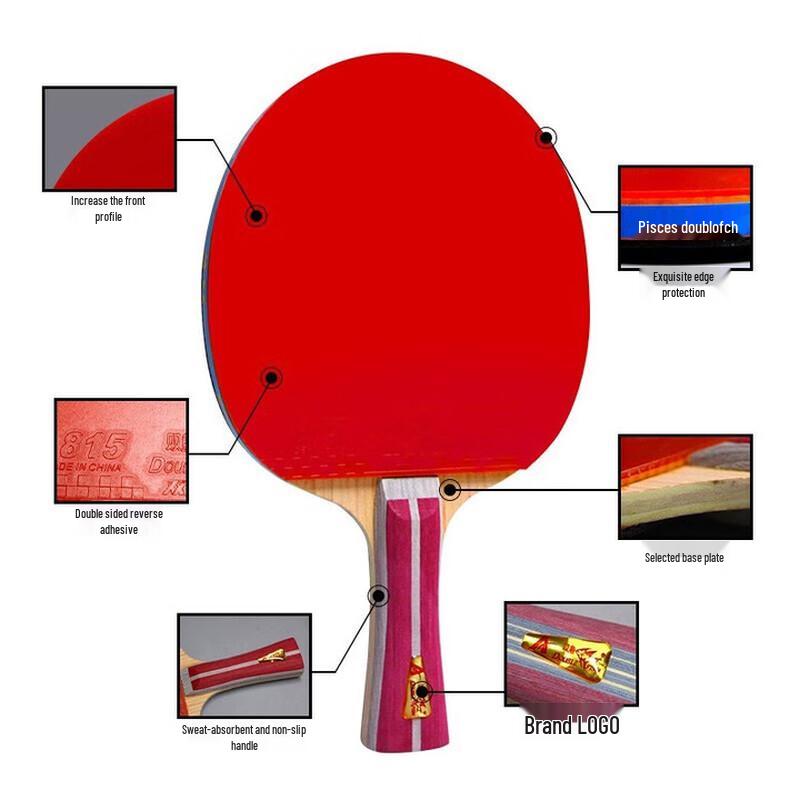 Double Fish 1-Star Beginner Table Tennis Racket