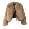 Imitation Fox Fur Imitation Fur Jacket Women's Thick Autumn and Winter Fur Imitation Fur Integrated Light Short