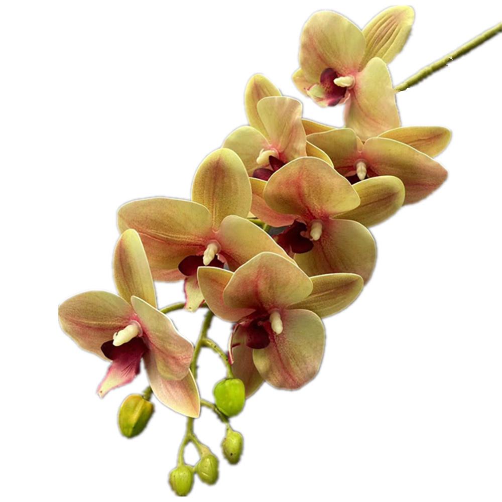 One Real Touch Butterfly Orchid Flower Branch Seven Heads Artificial Moth Phalaenopsis Orchid
