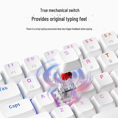 Mechanische 61-Tasten-Gaming-Tastatur mit abnehmbarem Kabel für Desktop- und Bürogebrauch