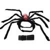 Spider and Skull Costume for Small to Medium Pets