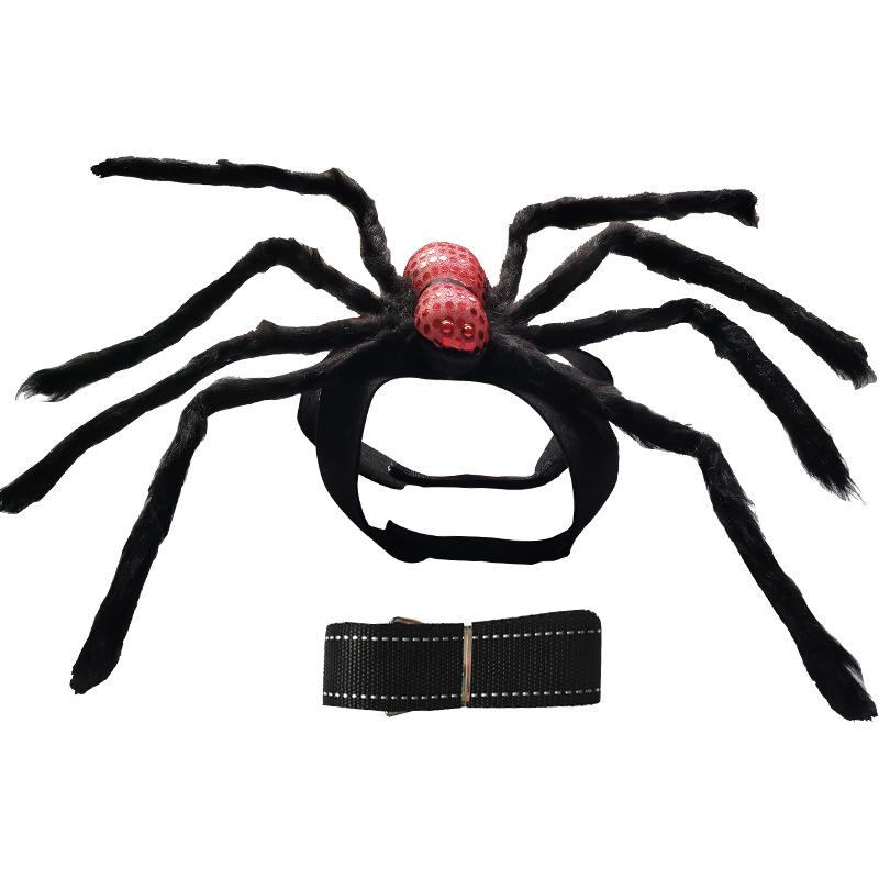 Spider and Skull Costume for Small to Medium Pets