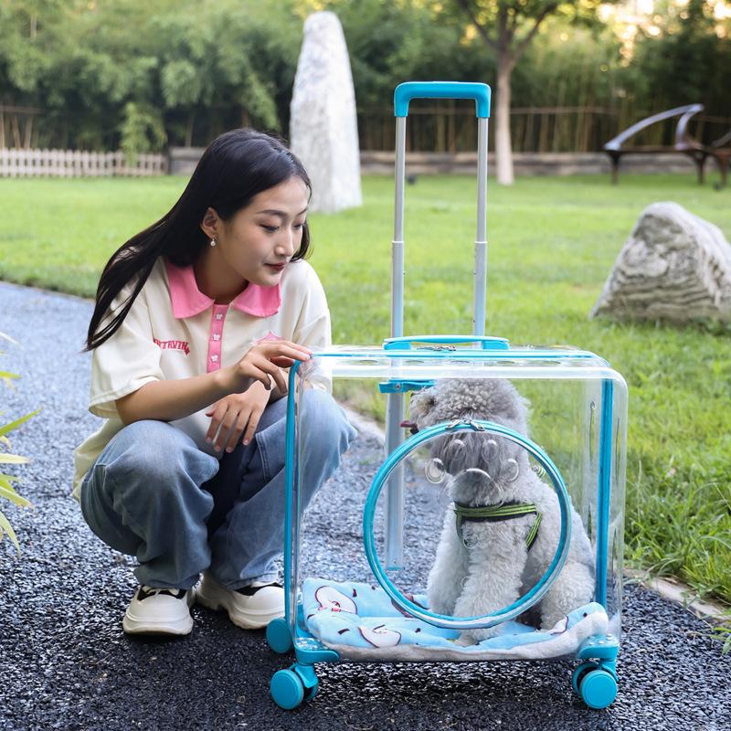 Trolley Case Cat Bag Large Capacity Two Cats Outdoor Travel Transparent Trolley Case Medium Dog Outing Bag