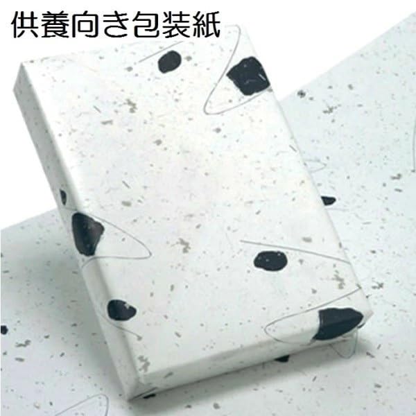 Kokuon Sediment Extraction Tea Dripper 50400 for Japanese Tea