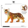 Siberian, Male, African, and White Tiger Cognitive Toy Set for Kids.