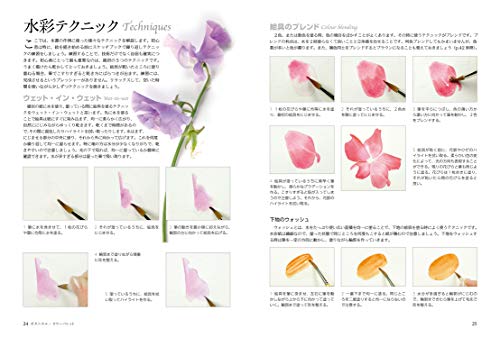 Botanical Color Palette