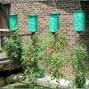 Sturdy Hanging Planter Bag For Tomatoes Strawberries Balcony And Home Gardening
