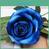 Stunning 5set Silk Rose Flowers For Weddings Perfect For Home And Party Decor