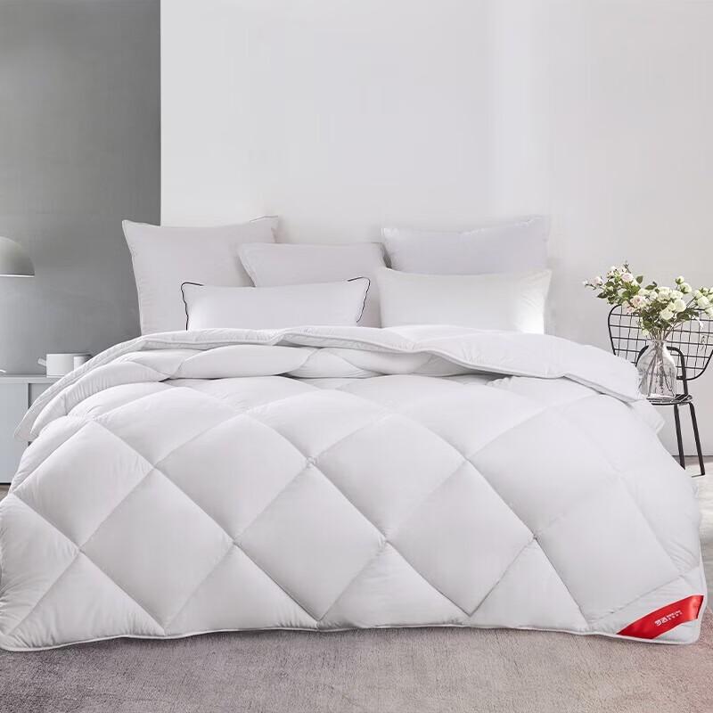 Mengjie Soft Fluffy All-Season Comforter