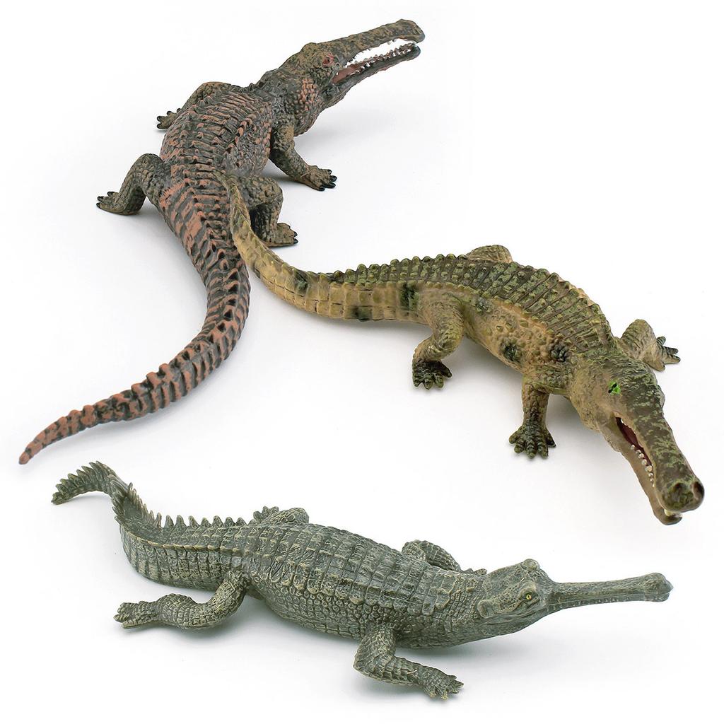 Simulation Amphibian 3 Crocodile Model Toys, Alligator Fish-Eating Crocodile Emperor Crocodile Decorative Static Ornament