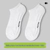 Men's Breathable Summer Socks: Mid-Calf, Short, Odor-Resistant, Terry Bottom, Cotton, Thin, Versatile, White Boat Socks