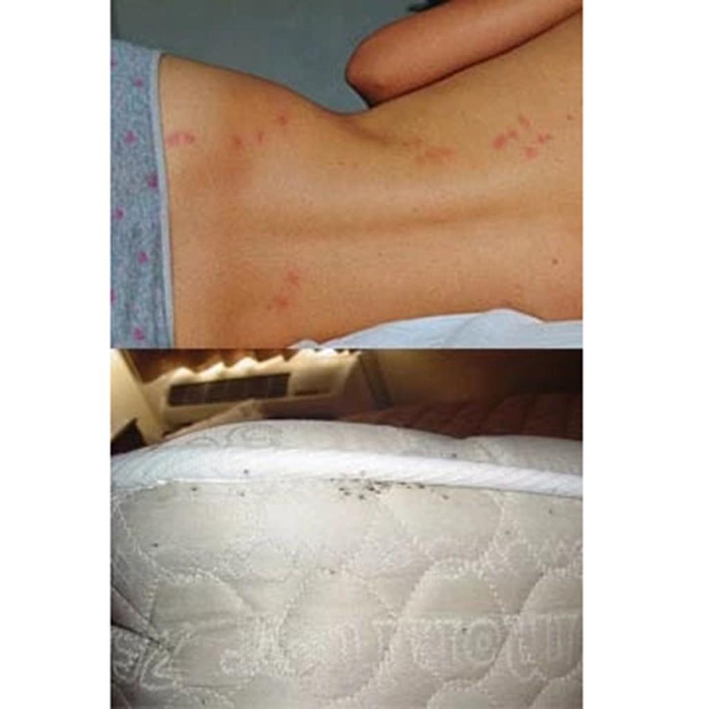 Travel Disposable Non-woven Sheets Pillowcases And Dirty Sleeping Bags