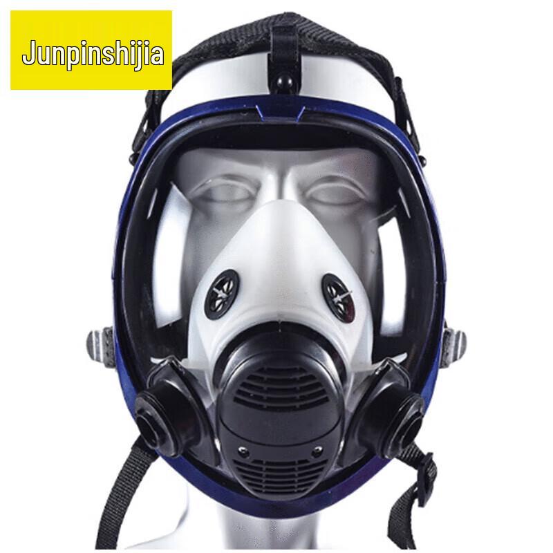 Junpinshijia CF01 Spherical Full Face Gas Mask