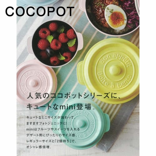 Takenaka Cocopot Mini Mint Bento Box, 250ml, T-86377