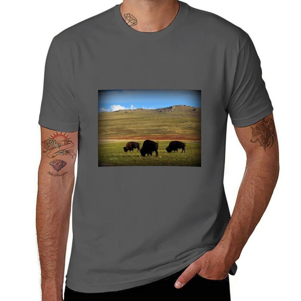 Bison on Antelope Island TShirt Plus Size Lightweight Tee Shirt