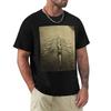 Rowing Cambridge Crew 1910 TShirt Plus Size Outdoor Casual Top