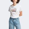 New adidas Women's Doodle Graphic Tee White IB4887