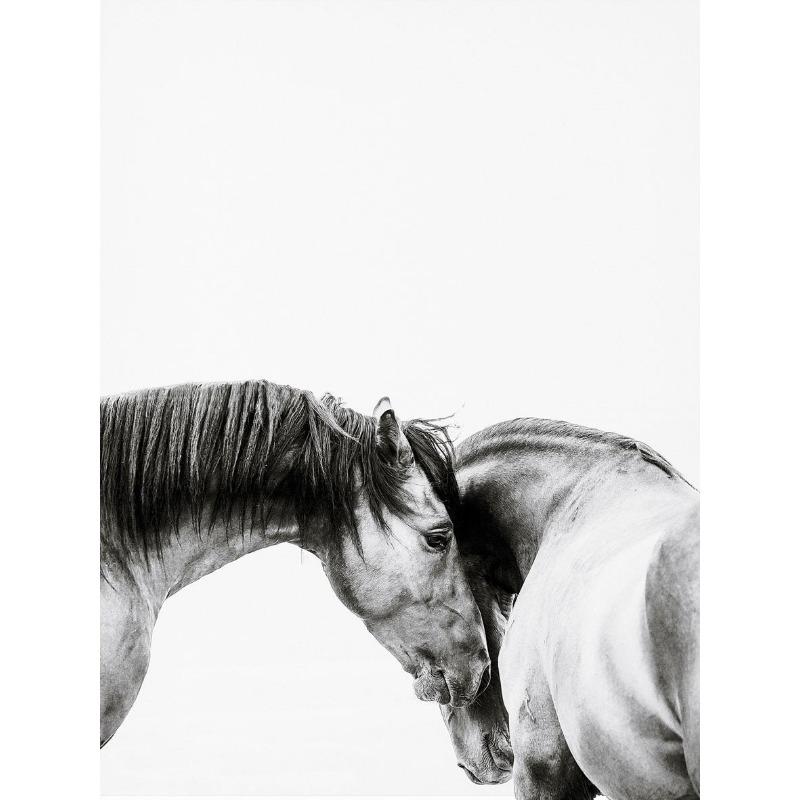 

Черно-белый портрет лошади, постер, печать на холсте, картина с изображением бегущих лошадей, настенное искусство, картина для декора комнаты в фермерском доме 70cm×120cm NoFrame
