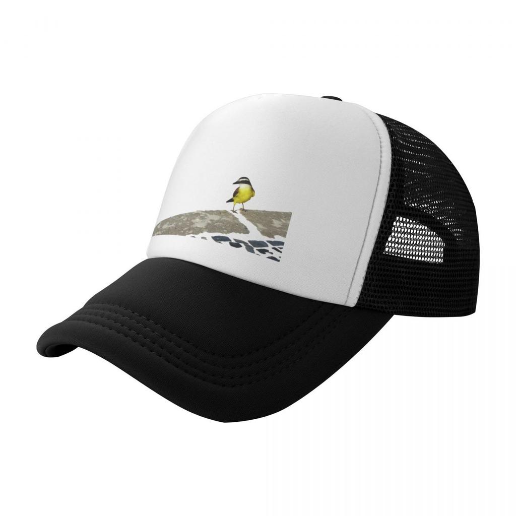 Pitangus sulphuratus  Great kiskadee Baseball Cap Unique hats Luxury Hat Ball  Mens  Womens
