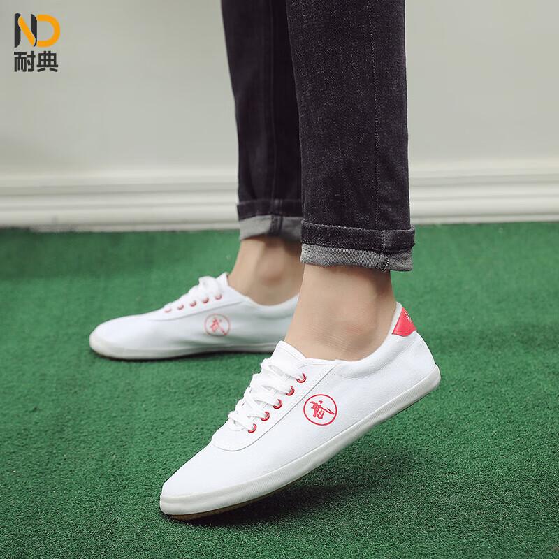Naidian Unisex Canvas Martial Arts & Tai Chi Shoes