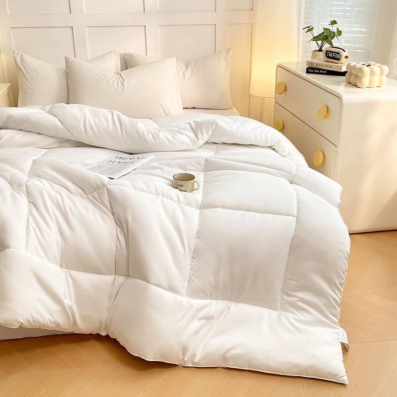 Pugu Nal Series All-Season Soft Warm Duvet Insert