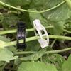 Secured Plastic Plant Clip,   Plastic  Clips Plant Support Clips Tomato Grape Vine Vegetables Plant Fixing Clips (100,black)