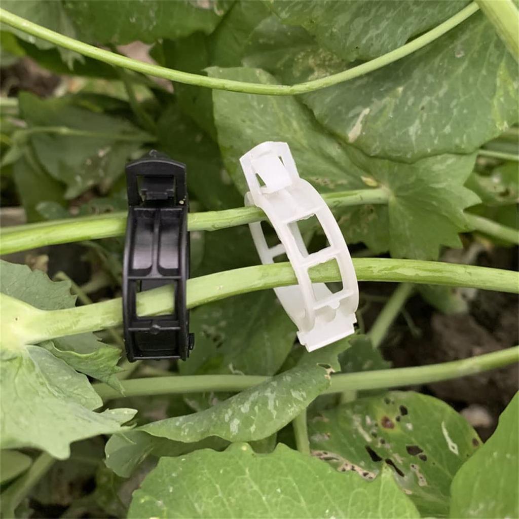 Secured Plastic Plant Clip, Plastic Clips Plant Support Clips Tomato Grape Vine Vegetables Plant Fixing Clips (100,black)