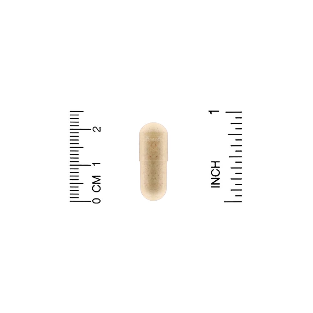 Enzymedica Telomere Plus kapsle 30 kusů