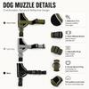 Breathable Dog Muzzle Golden Retriever Labrador Small Medium Dogs Anti Bite Anti Accidental Ingestion Restraint Protection