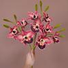 Echte Berührung Cattleya Orchideenstiel Lebensechte Optik Cymbidium Orchideen-Zweig Hochzeit