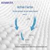 Kinbata Waterless Fabric Cleaner: Powerful Stain Remover for Sofas, Carpets, and Mattresses