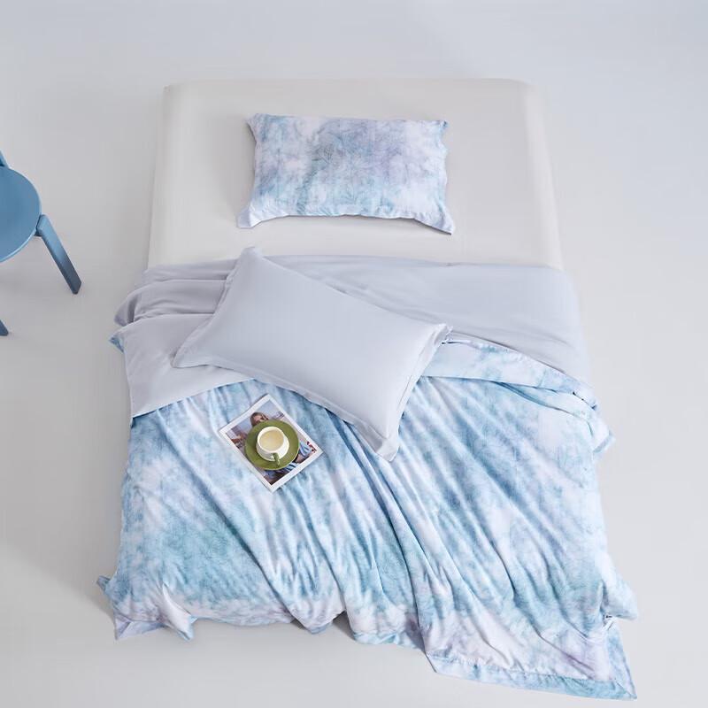 

Luxury 3D Printed Mulberry Silk Quilt