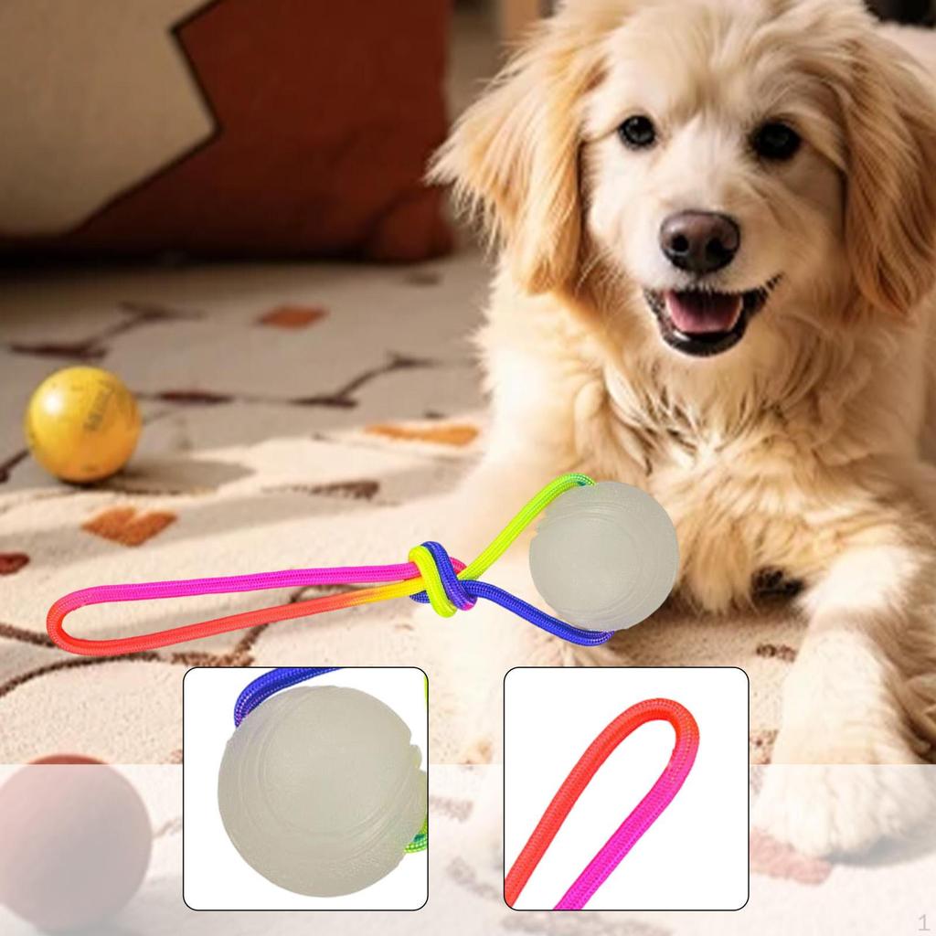 Dog Training Ball On Rope Toy Fit Small Medium Large Dogs, Soft, Exercise and Reward