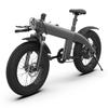 Alnsoor Q3 Faltbares Elektrofahrrad für Erwachsene 48V12.75Ah Akku 750W Urbanes Pendel-Elektrofahrrad 20 Zoll Offroad-Outdoor All-Terrain E-Bike