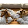 Super Soft Dog Bed Plush Cat Mat Dog Beds Round Cushion Pet Product Accessories Washable Dog and Cat Cushion Bed Winter Warm Sofa Hot Sell