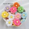 12Pcs New Cute Cartoon Chrysanthemum Series Flat Back Resin Scrapbooking DIY Jewelry Hairpin Craft Decoration Accessorie