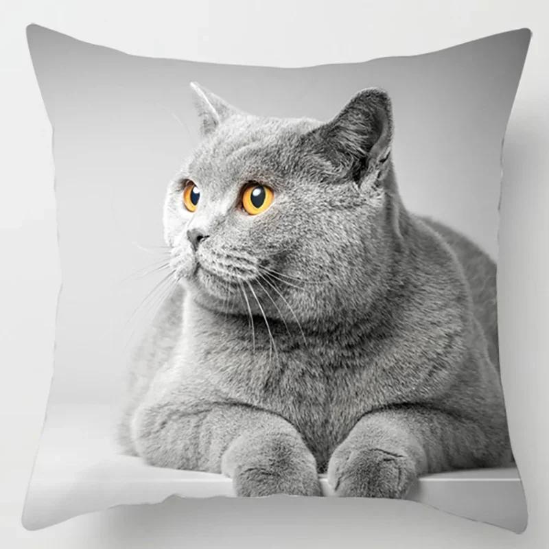 45X45CM Cat Collection Pillowcase Home and Office Decor Square Pillowcase
