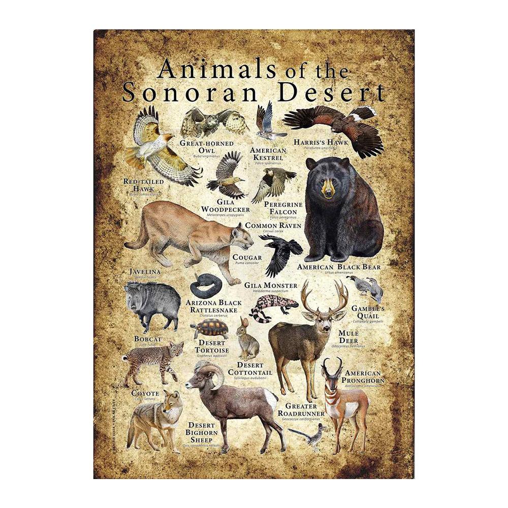 Abstrakt HD-tryck Fjäril Groda Fåglar Haj Marina Djur Collage Poster Canvas Målning Vintage Väggkonst För Barn Sovrum Heminredning