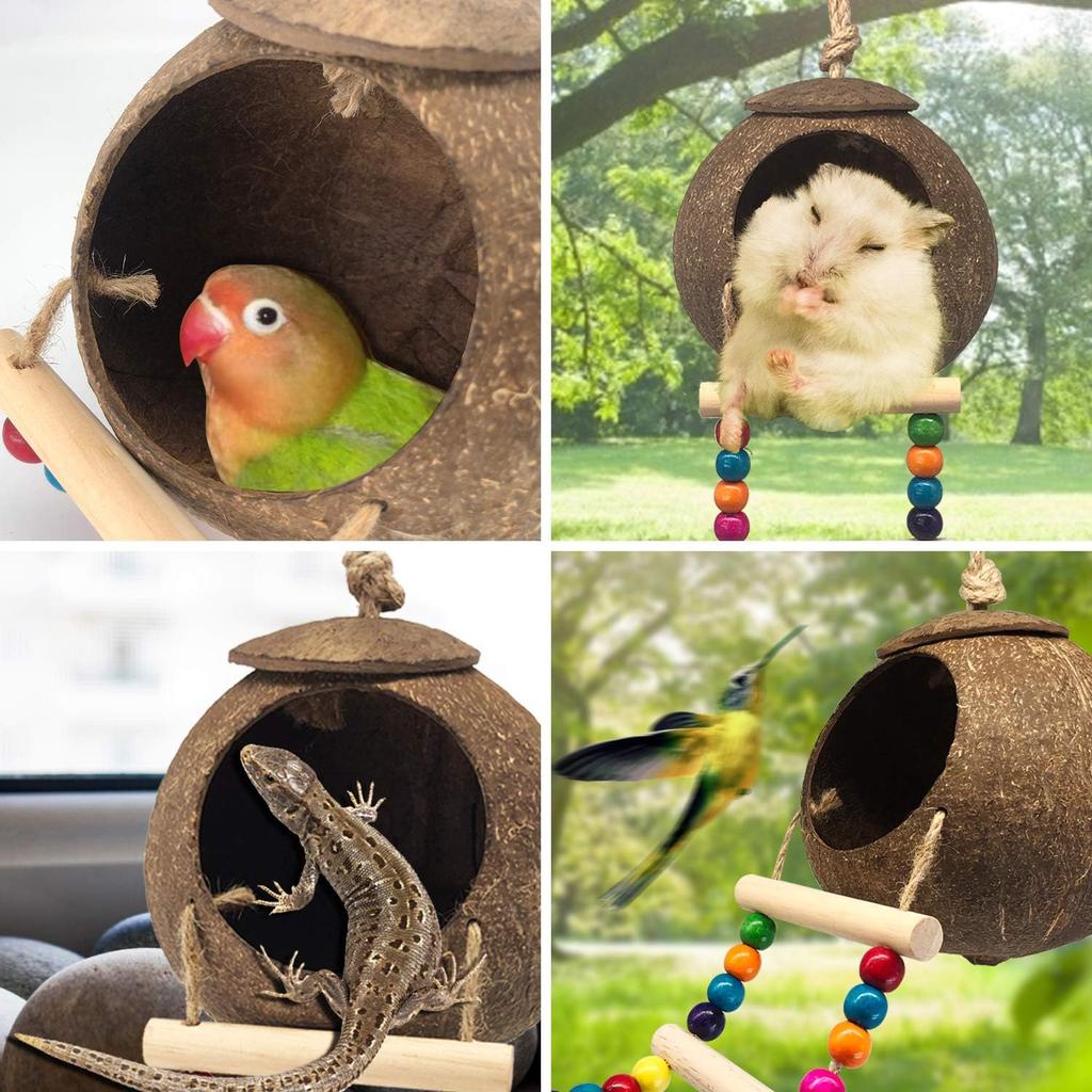 Hanging Coconut Bird House with Ladder,Natural Coconut Fiber Shell Bird Nest for Parrot Parakeet Lovebird Finch Canary,Coconut Hide Bird Swing Toys