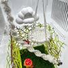 Handmade Jumping Spider Enclosure Hangable Hermit Crab Climbing Enclosure  Pet Supplies