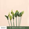 10 Pezzi Fiori Artificiali in Ceramica Fatti a Mano ad Alta Temperatura, Fiori della Vita Eterna, Decorazioni, Regali Unici e Creativi per la Casa